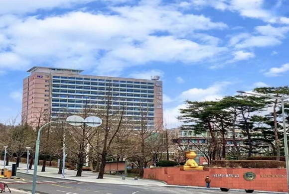 国民大学