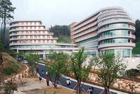 新罗大学
